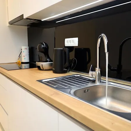 Dalmata D Ποντστράνα